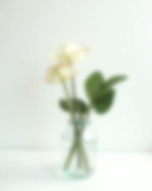 Modern minimalist floral arrangement in a clear vase